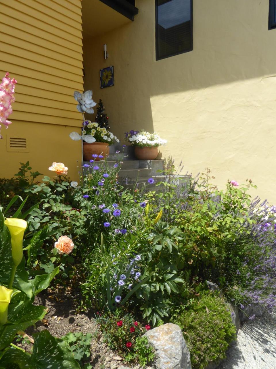 Bed and Breakfast Hazelwood Mapua Екстер'єр фото